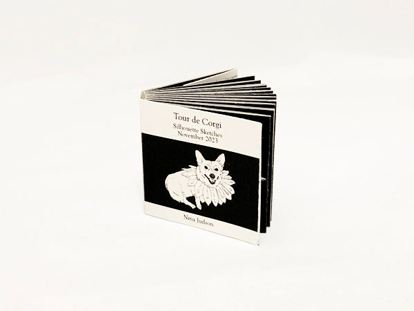 Accordion Zines
