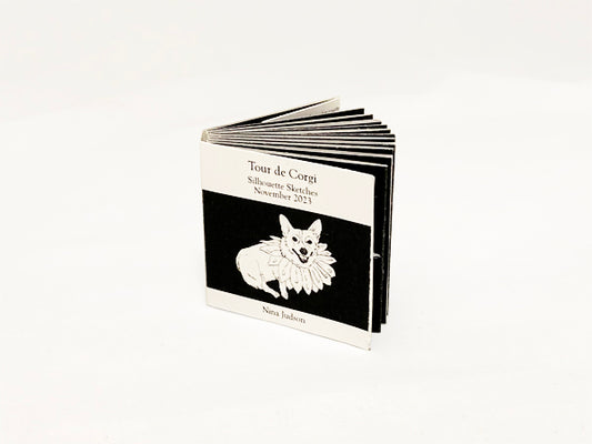 Accordion Zines