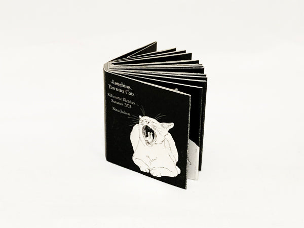 Accordion Zines